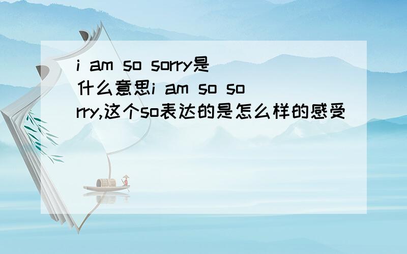 i am so sorry是什么意思i am so sorry,这个so表达的是怎么样的感受