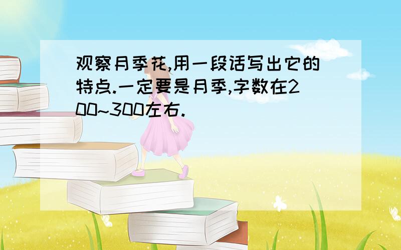 观察月季花,用一段话写出它的特点.一定要是月季,字数在200~300左右.