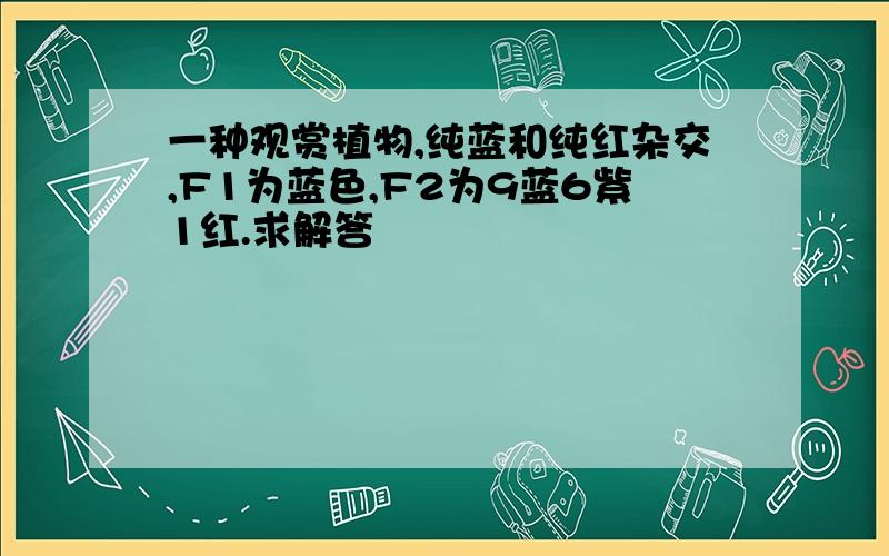 一种观赏植物,纯蓝和纯红杂交,F1为蓝色,F2为9蓝6紫1红.求解答