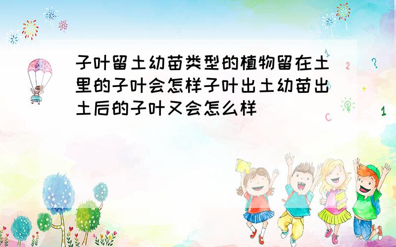 子叶留土幼苗类型的植物留在土里的子叶会怎样子叶出土幼苗出土后的子叶又会怎么样