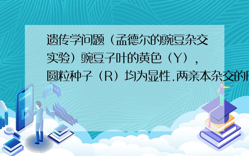 遗传学问题（孟德尔的豌豆杂交实验）豌豆子叶的黄色（Y）,圆粒种子（R）均为显性.两亲本杂交的F1表现型如下：圆粒：皱粒=3:1 黄色：绿色=1:1让F1中的黄色圆粒和绿色皱粒杂交.F2的性状分