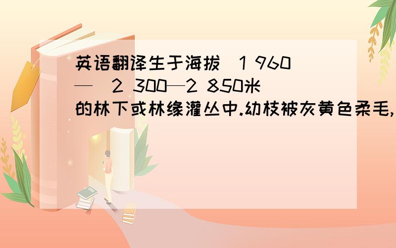 英语翻译生于海拔（1 960—）2 300—2 850米的林下或林缘灌丛中.幼枝被灰黄色柔毛,一年生枝变无毛.有高度耐腐性,在各种气候下不易变形,易于施工等多种优点.质地比较坚硬,可塑性又很强