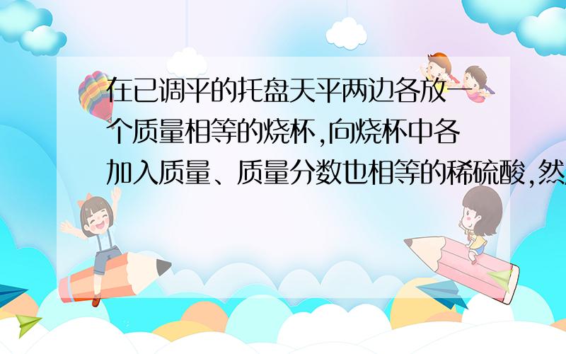 在已调平的托盘天平两边各放一个质量相等的烧杯,向烧杯中各加入质量、质量分数也相等的稀硫酸,然后在左右两盘的烧杯中分别放入等质量的锌粒和铁粉.下列现象不可能观察到的是：A天平