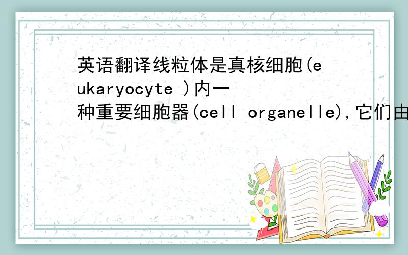 英语翻译线粒体是真核细胞(eukaryocyte )内一种重要细胞器(cell organelle),它们由内外两层脂膜围成,基质内含有线粒体自己的基因组和细胞氧化(oxidation)代谢中必需的的酶和蛋白.线粒体内膜上的