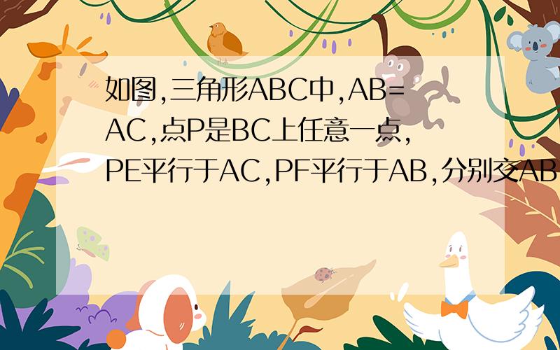 如图,三角形ABC中,AB=AC,点P是BC上任意一点,PE平行于AC,PF平行于AB,分别交AB、AC于E、F试问线段PE、PF、AB之间有什么关系?试说明理由.