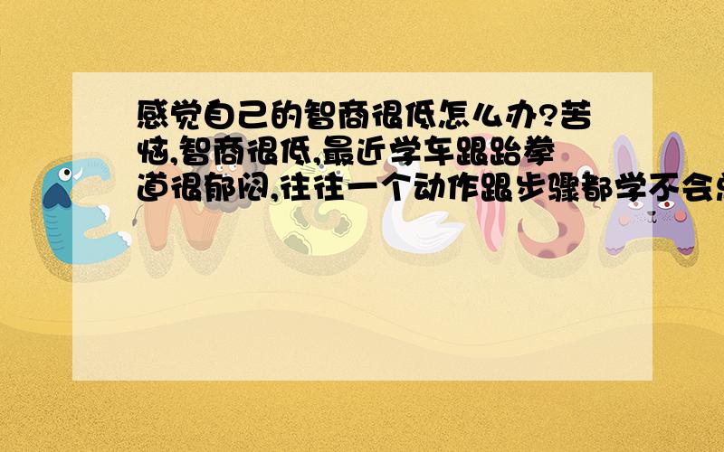 感觉自己的智商很低怎么办?苦恼,智商很低,最近学车跟跆拳道很郁闷,往往一个动作跟步骤都学不会总是忘,还爱发蒙,常常挨骂,天啊,我的智商怎么这么低啊