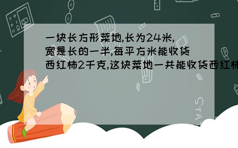 一块长方形菜地,长为24米,宽是长的一半,每平方米能收货西红柿2千克,这块菜地一共能收货西红柿多少千克?