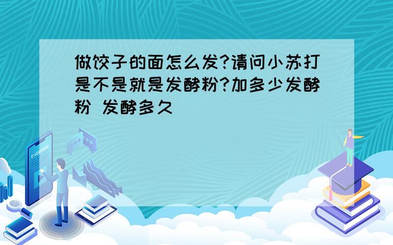 做饺子的面怎么发?请问小苏打是不是就是发酵粉?加多少发酵粉 发酵多久