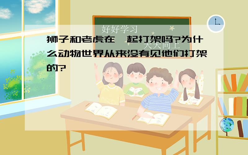 狮子和老虎在一起打架吗?为什么动物世界从来没有见他们打架的?