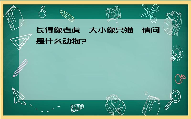 长得像老虎…大小像只猫…请问是什么动物?