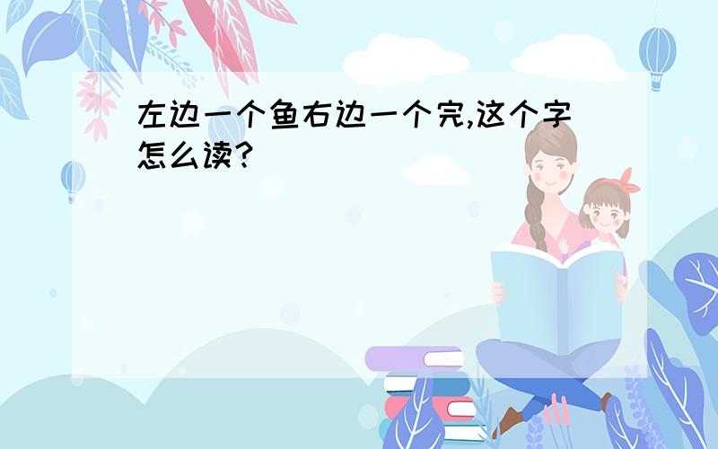 左边一个鱼右边一个完,这个字怎么读?