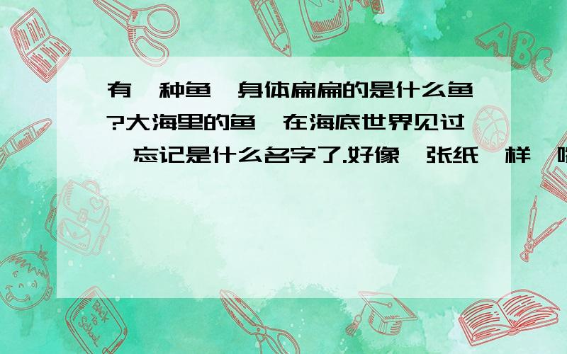 有一种鱼,身体扁扁的是什么鱼?大海里的鱼,在海底世界见过,忘记是什么名字了.好像一张纸一样,嘴在下方,很大的.身后还有一条长尾巴.