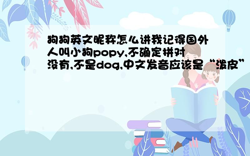 狗狗英文昵称怎么讲我记得国外人叫小狗popy,不确定拼对没有,不是dog,中文发音应该是“泼皮”