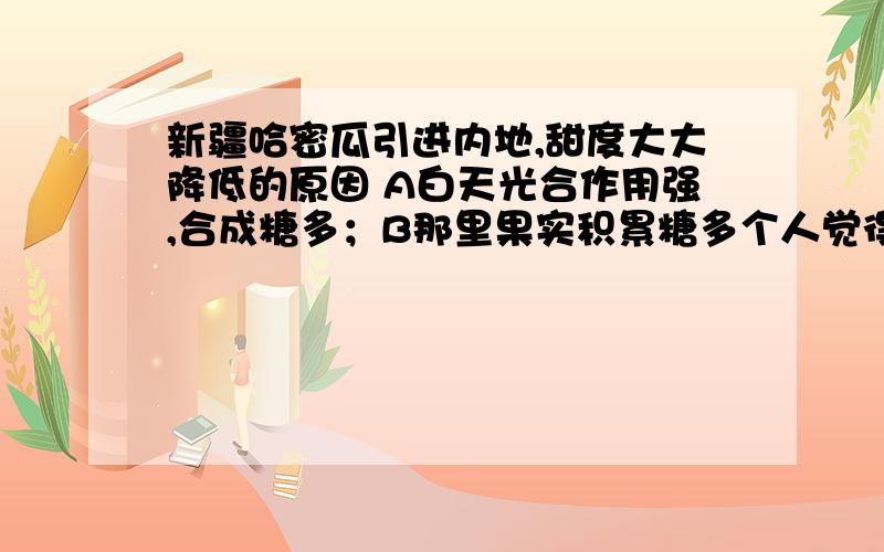 新疆哈密瓜引进内地,甜度大大降低的原因 A白天光合作用强,合成糖多；B那里果实积累糖多个人觉得光合作用强，也需要糖消耗少