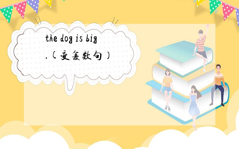 the dog is big.(变复数句）