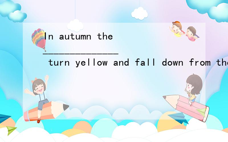 In autumn the ______________ turn yellow and fall down from the tree.(树叶)填leaf可以吗?说下理由