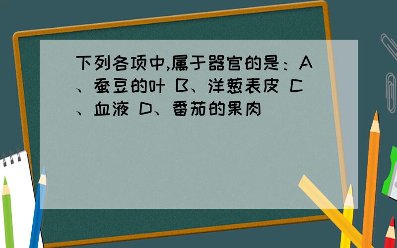 下列各项中,属于器官的是：A、蚕豆的叶 B、洋葱表皮 C、血液 D、番茄的果肉