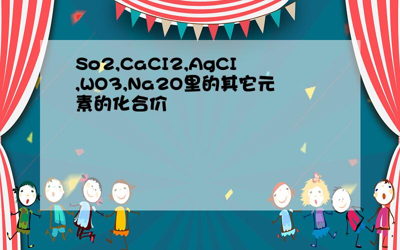 So2,CaCI2,AgCI,WO3,Na2O里的其它元素的化合价