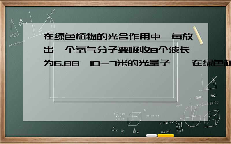 在绿色植物的光合作用中,每放出一个氧气分子要吸收8个波长为6.88×10-7米的光量子……在绿色植物的光合作用中,每放出一个氧气分子要吸收8个波长为6.88×10-7米的光量子.每个光量子的能量是