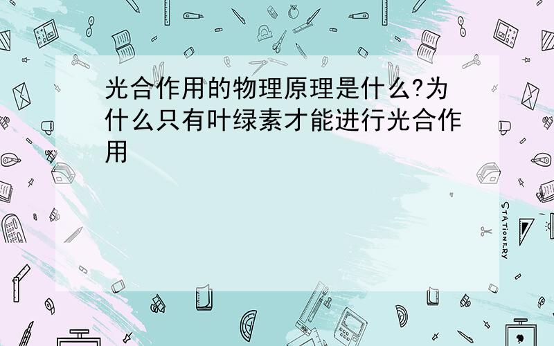 光合作用的物理原理是什么?为什么只有叶绿素才能进行光合作用