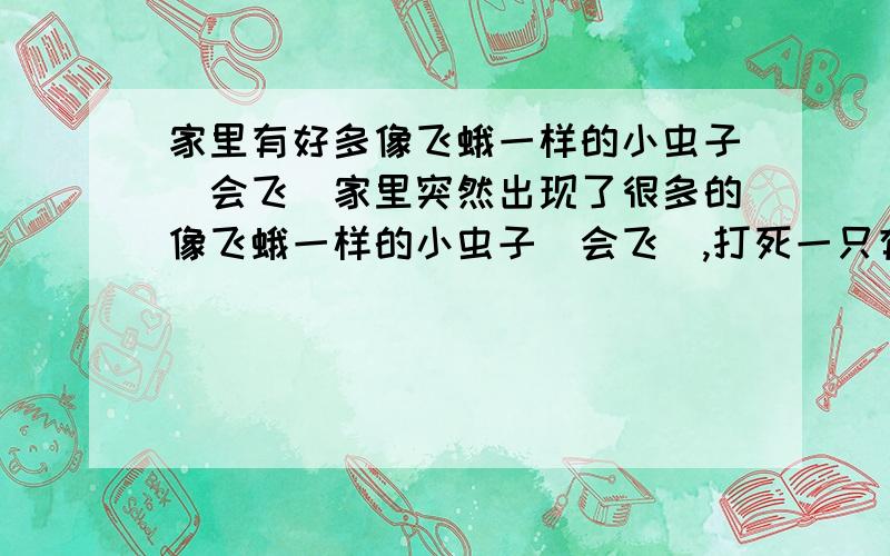 家里有好多像飞蛾一样的小虫子（会飞）家里突然出现了很多的像飞蛾一样的小虫子（会飞）,打死一只有出现一只,好像打不完,请问各位有什么灭绝飞蛾的办法啊,比如说用什么大蒜啊,蚊香