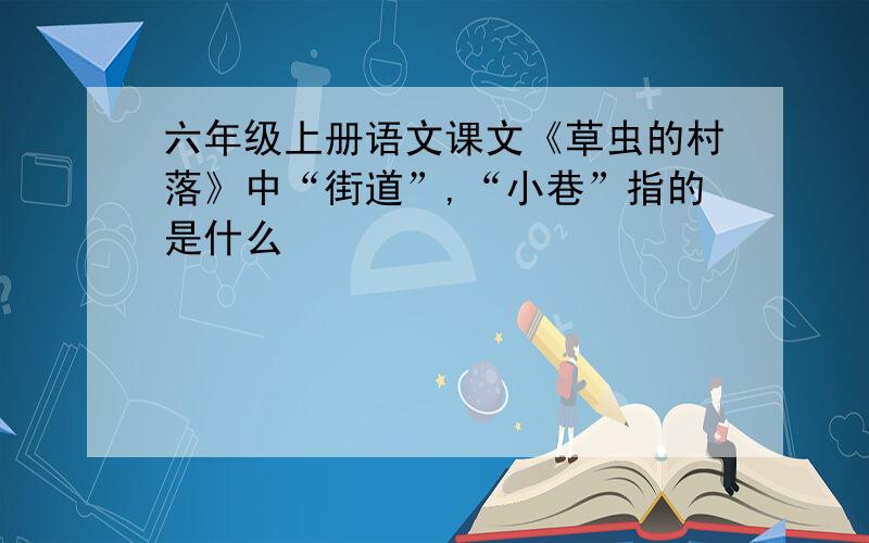 六年级上册语文课文《草虫的村落》中“街道”,“小巷”指的是什么