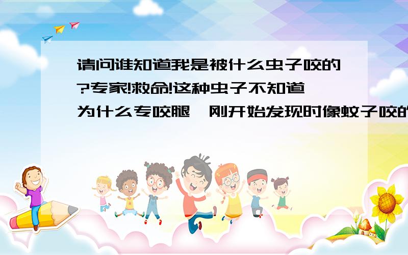 请问谁知道我是被什么虫子咬的?专家!救命!这种虫子不知道为什么专咬腿,刚开始发现时像蚊子咬的一样,一挠就变成大小约1厘米的红包,中间还有个坑,其痒无比,不理它一会就会冒出很多黄浓,