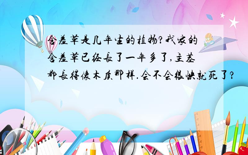 含羞草是几年生的植物?我家的含羞草已经长了一年多了,主茎都长得像木质那样.会不会很快就死了?