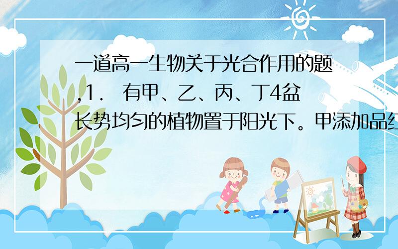 一道高一生物关于光合作用的题,1． 有甲、乙、丙、丁4盆长势均匀的植物置于阳光下。甲添加品红色光照，乙添加绿色光，丙隔品红色滤光片，丁隔绿色滤光片(如图)。经过一段时间后，各