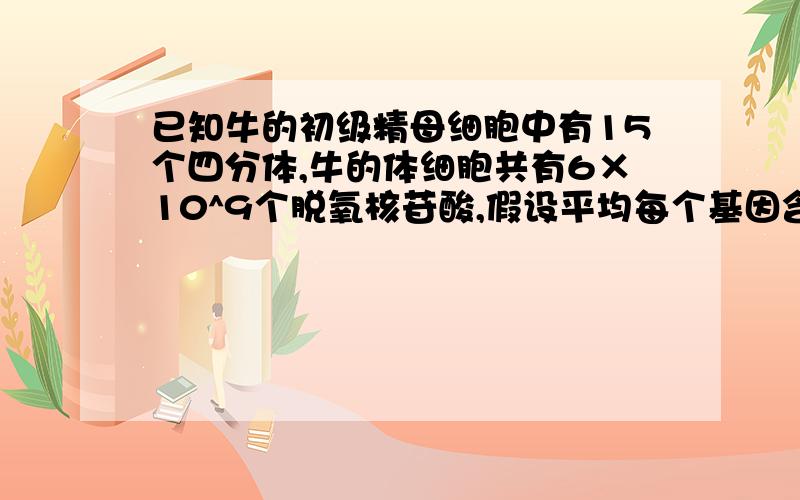 已知牛的初级精母细胞中有15个四分体,牛的体细胞共有6×10^9个脱氧核苷酸,假设平均每个基因含1000个碱基对,则牛的体细胞中染色体条数和平均每条染色体上含有的基因数为A、30,2×10^5 B、60,2