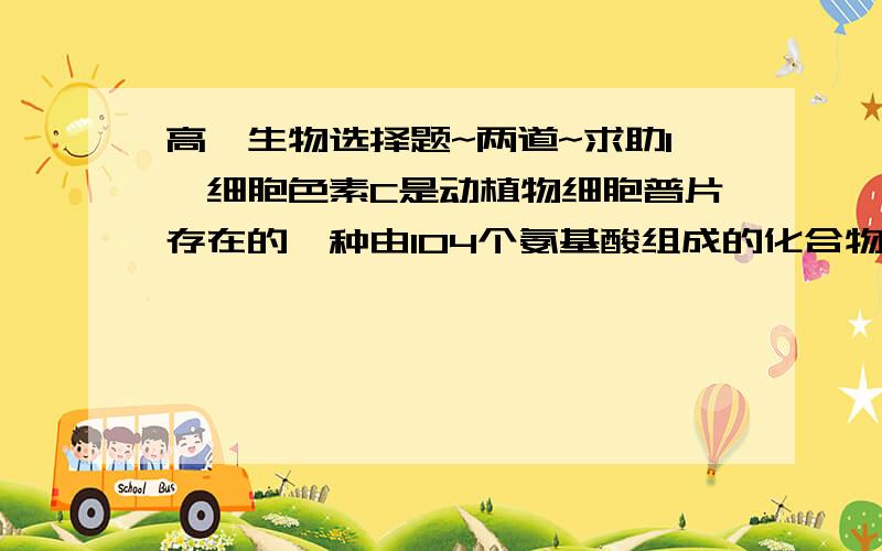 高一生物选择题~两道~求助1,细胞色素C是动植物细胞普片存在的一种由104个氨基酸组成的化合物,在细胞产生能量的过程中起重要作用.则细胞色素C的合成场所及他发挥生理作用的场所分别是__