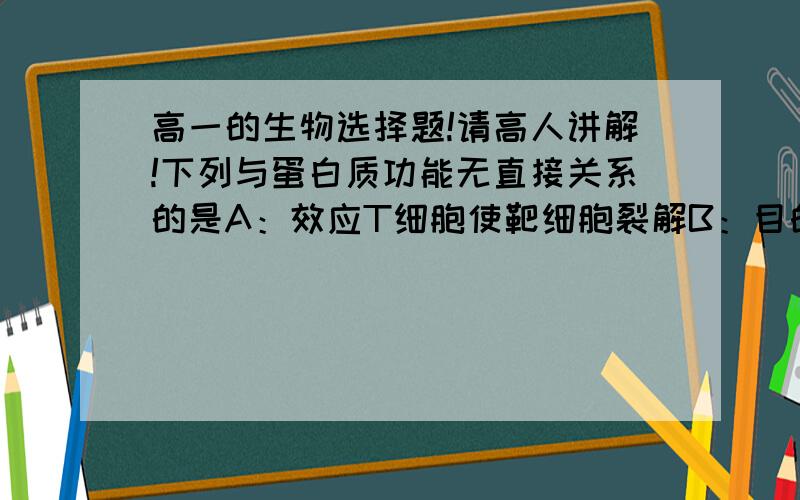 高一的生物选择题!请高人讲解!下列与蛋白质功能无直接关系的是A：效应T细胞使靶细胞裂解B：目的基因与运载体结合C：矿质元素在导管中向上运输D:植物固定二氧化碳需要解释!不需要单独