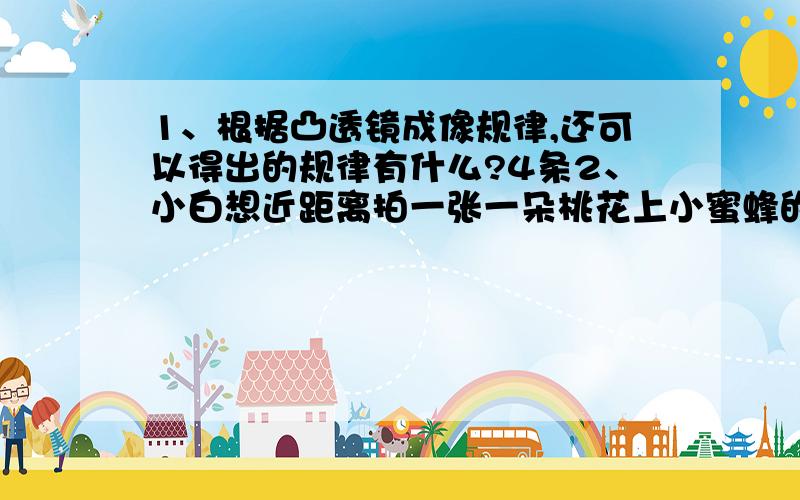 1、根据凸透镜成像规律,还可以得出的规律有什么?4条2、小白想近距离拍一张一朵桃花上小蜜蜂的照片时,应满足的条件是?