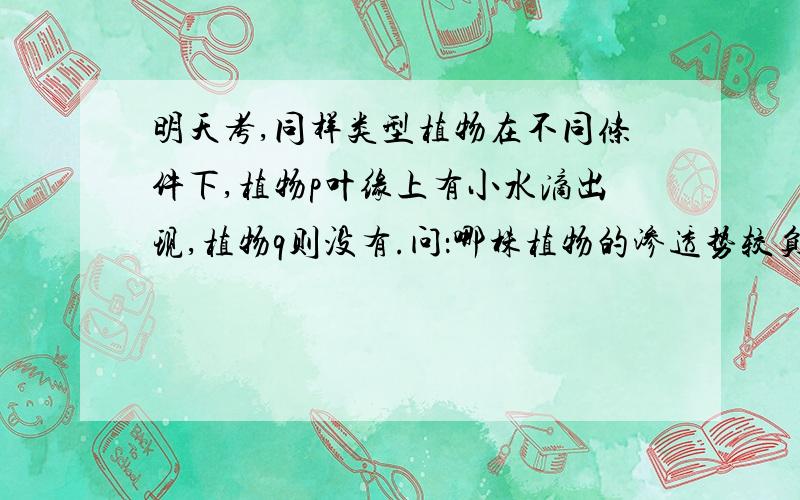 明天考,同样类型植物在不同条件下,植物p叶缘上有小水滴出现,植物q则没有.问：哪株植物的渗透势较负(渗透压较高）?那株植物叶细胞的彭压较高?