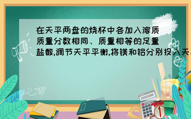 在天平两盘的烧杯中各加入溶质质量分数相同、质量相等的足量盐酸,调节天平平衡,将镁和铝分别投入天平左右两边的烧杯中,若使天平仍保持平衡,则所加入的镁、铝的质量比为多少?答案镁