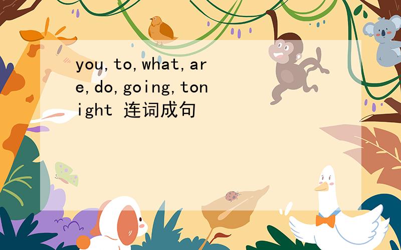 you,to,what,are,do,going,tonight 连词成句