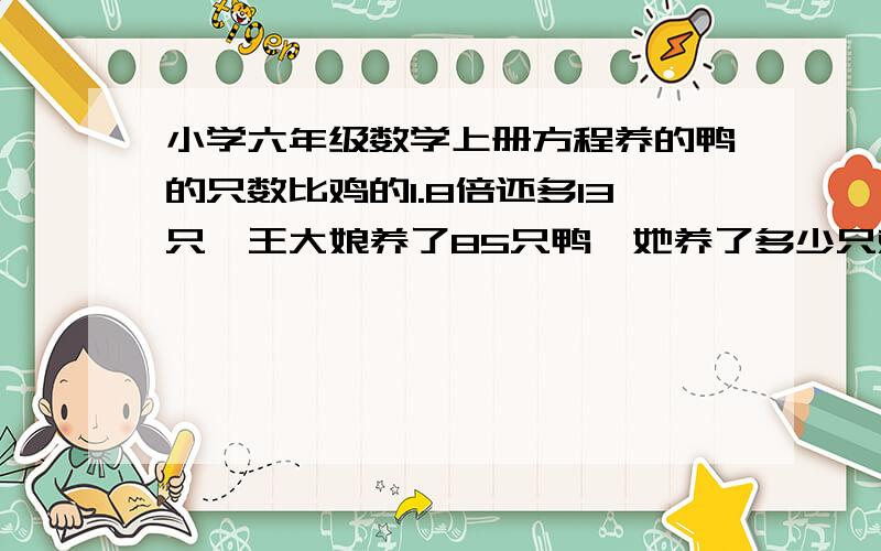 小学六年级数学上册方程养的鸭的只数比鸡的1.8倍还多13只,王大娘养了85只鸭,她养了多少只鸡