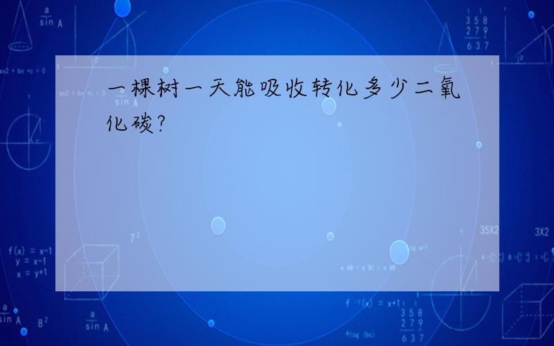 一棵树一天能吸收转化多少二氧化碳?