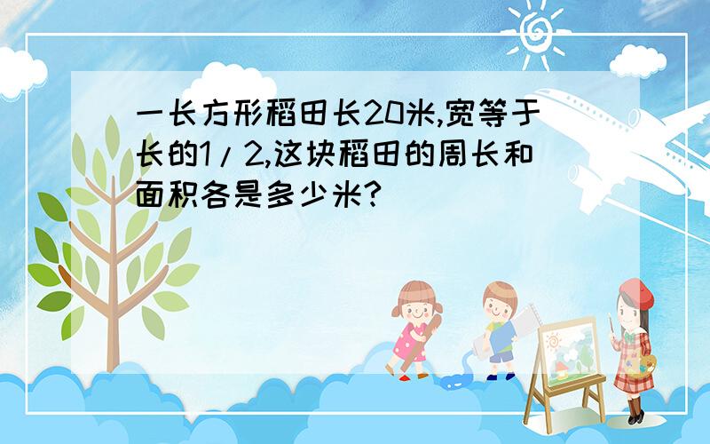 一长方形稻田长20米,宽等于长的1/2,这块稻田的周长和面积各是多少米?