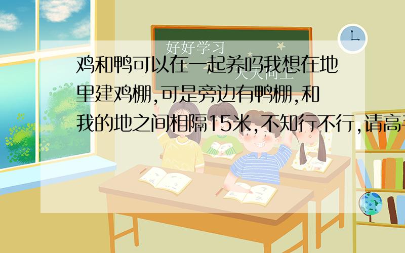 鸡和鸭可以在一起养吗我想在地里建鸡棚,可是旁边有鸭棚,和我的地之间相隔15米,不知行不行,请高手指点.我还想把鸽子和鸡一起养可不可以,鸽子和鸡不在一个棚里,相隔有8米远 ,可不可以.混