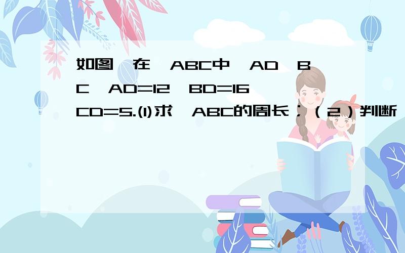 如图,在△ABC中,AD⊥BC,AD=12,BD=16,CD=5.(1)求△ABC的周长；（2）判断△ABC是否是直角三角形