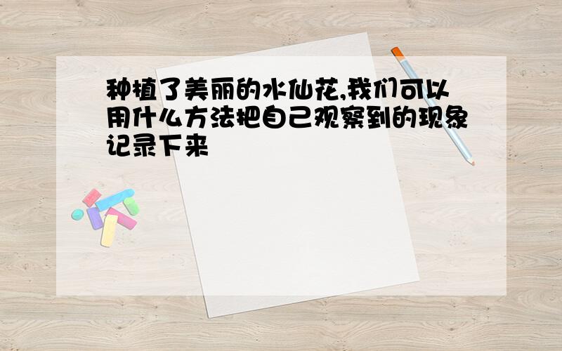 种植了美丽的水仙花,我们可以用什么方法把自己观察到的现象记录下来