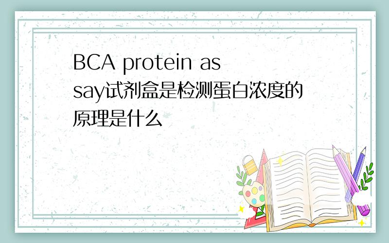 BCA protein assay试剂盒是检测蛋白浓度的原理是什么