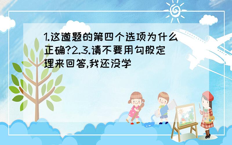 1.这道题的第四个选项为什么正确?2.3.请不要用勾股定理来回答,我还没学