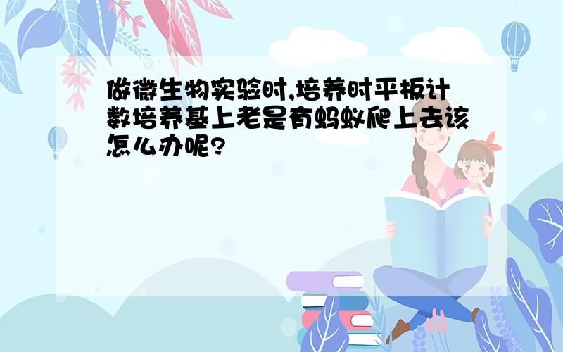 做微生物实验时,培养时平板计数培养基上老是有蚂蚁爬上去该怎么办呢?