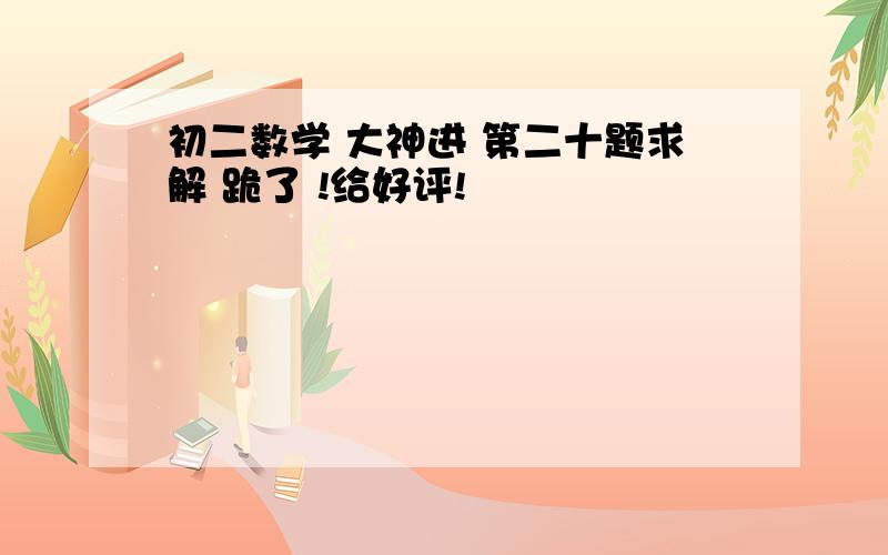 初二数学 大神进 第二十题求解 跪了 !给好评!