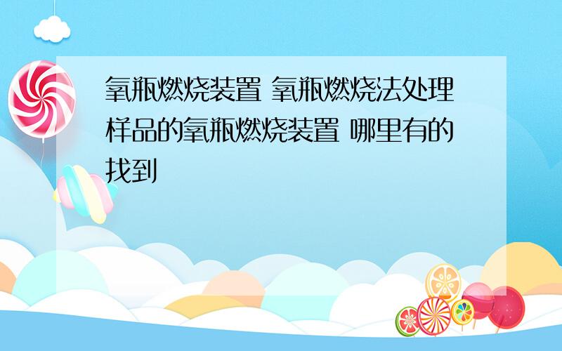 氧瓶燃烧装置 氧瓶燃烧法处理样品的氧瓶燃烧装置 哪里有的找到