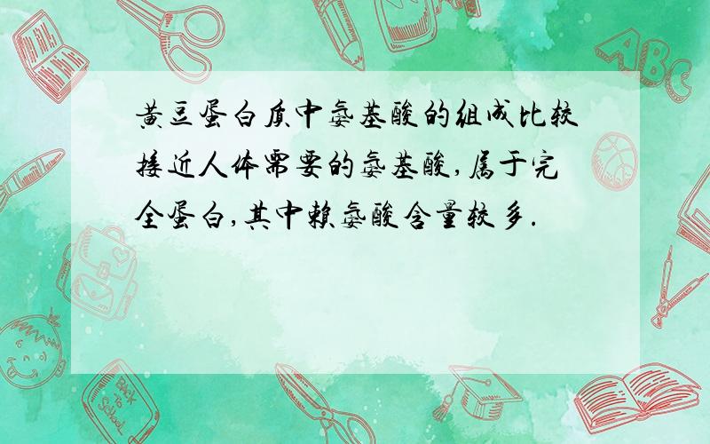 黄豆蛋白质中氨基酸的组成比较接近人体需要的氨基酸,属于完全蛋白,其中赖氨酸含量较多.