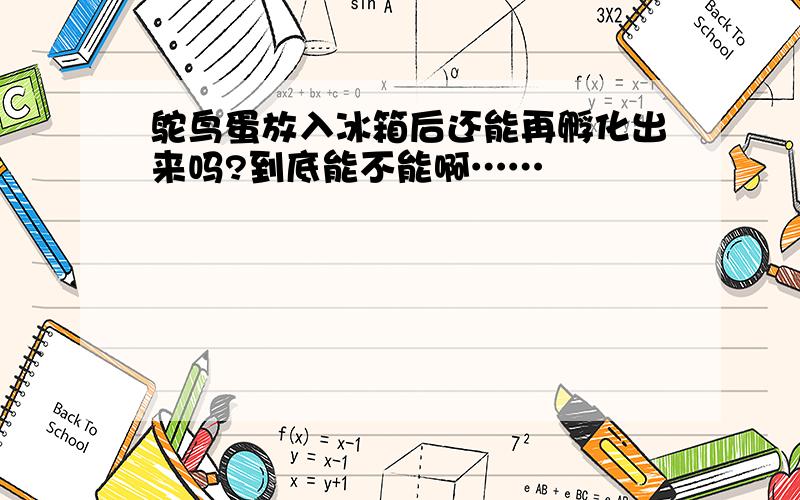 鸵鸟蛋放入冰箱后还能再孵化出来吗?到底能不能啊……