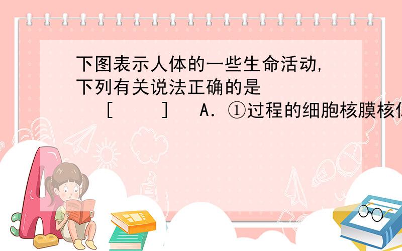 下图表示人体的一些生命活动,下列有关说法正确的是       [     ]   A．①过程的细胞核膜核仁始终存在B．②过程细胞中的遗传物质发生改变C．③过程中细胞内多种酶的活性下降D．④过程中原